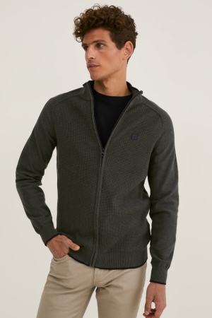 Cardigan C&A Homme Vert Foncé | WF5396407
