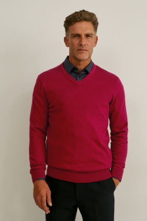 Chemises C&A And Regular Fit Easy-iron Homme Rouge Bleu Foncé | IA0863275