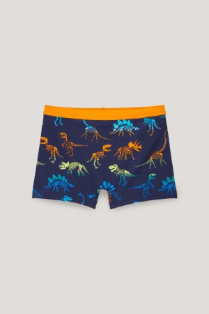 Maillots De Bain C&A Dinosaur Swim Lycra® Xtra Life™ Garcon Bleu Foncé | AL6142853