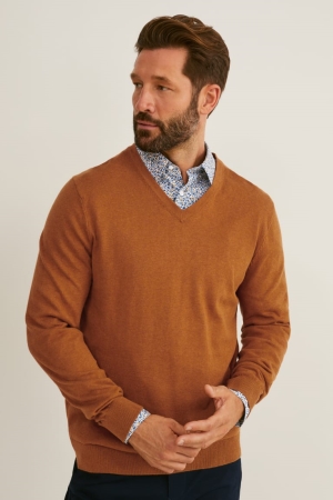 Pulls C&A And Regular Fit Button-down Collar Easy-iron- Recycled Homme Marron Bleu | BL6438715