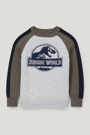 Pulls C&A Jurassic World Fille Grise Clair | JR6189204