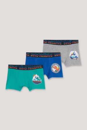 Sous Vêtement C&A Multipack Of 3 Dinosaur Boxer Organic Coton Garcon Vert | WT0451293
