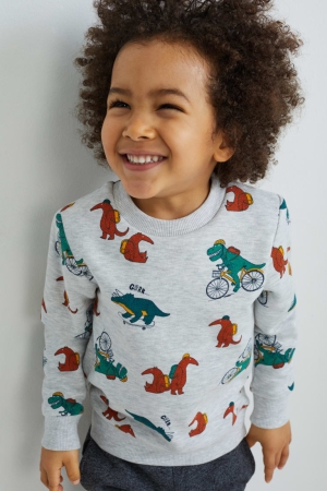 Sweats C&A Dinosaur Fille Grise Clair | AF7590283