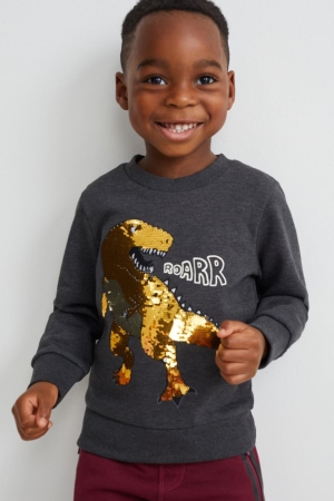 Sweats C&A Dinosaur Shiny Fille Grise Foncé | FI0415268